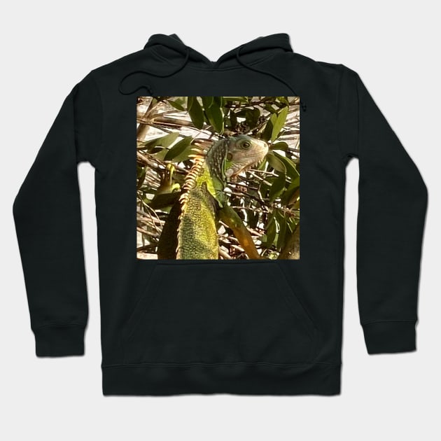 Alert Green Iguana Climbing a Tree Hoodie by gldomenech